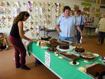 Chocolate dessert bakeoff