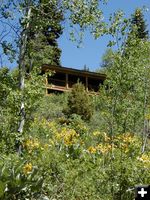 Half Moon Lake cabins. Photo by Pinedale Online.