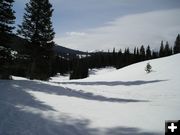 Horse Creek Sledding Area. Photo by Alan Svalberg.