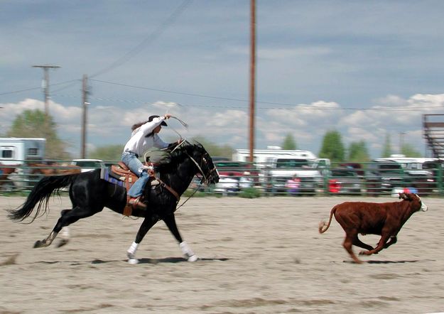 Calf Roper. Photo by Pinedale Online.