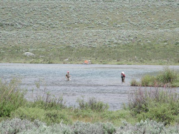 Fishing the Green. Photo by Pinedale Online.