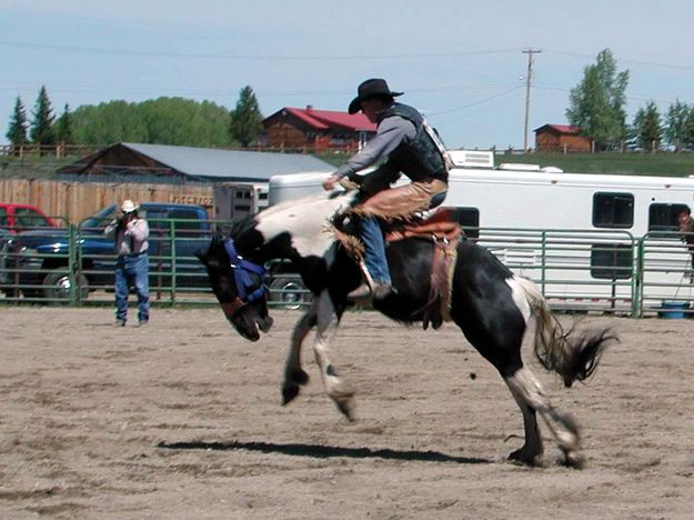 Saddle Bronc Rider. Photo by Pinedale Online.