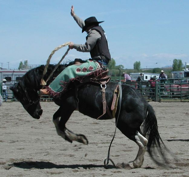 Saddle Bronc Rider. Photo by Pinedale Online.