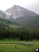 Beaver Pond. Photo by Pinedale Online.