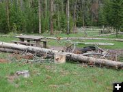 Trees down in campground. Photo by Pinedale Online.