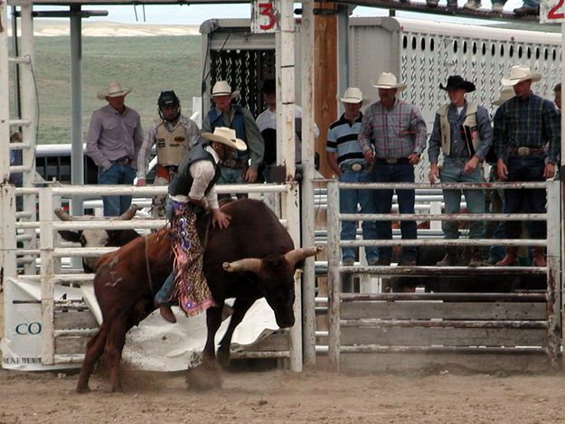 Bull Riding. Photo by Pinedale Online.