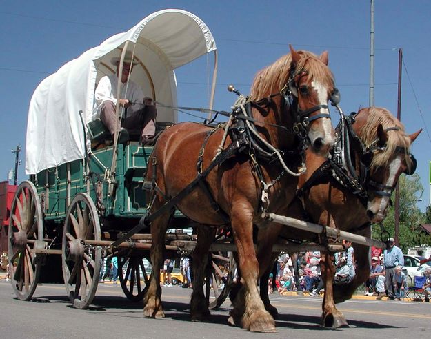 Team and Wagon. Photo by Pinedale Online.