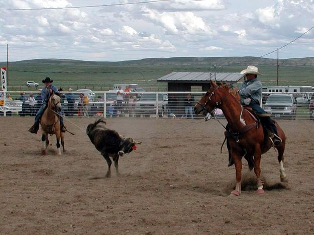 Team Roping. Photo by Pinedale Online.