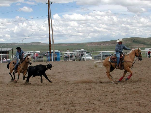 Team Roping. Photo by Pinedale Online.