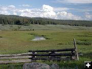 Meadow on Union Pass. Photo by Pinedale Online.