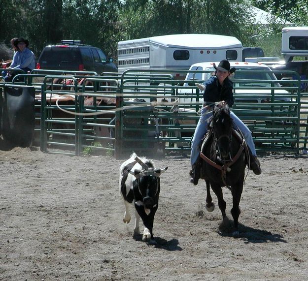 Cowgirl Roper. Photo by Pinedale Online.