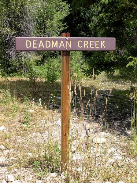 Deadman Creek. Photo by Pinedale Online.