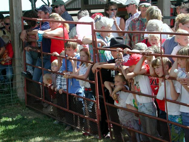 Greased Pig Audience. Photo by Pinedale Online.