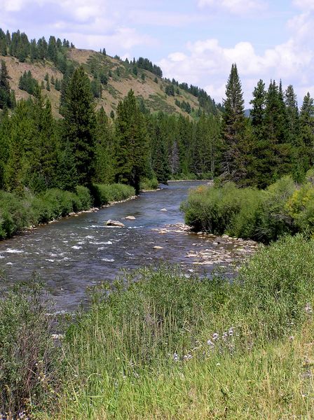 Greys River. Photo by Pinedale Online.