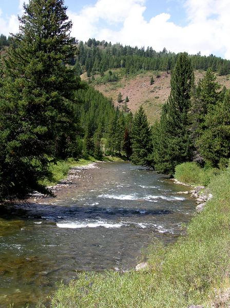 Greys River. Photo by Pinedale Online.