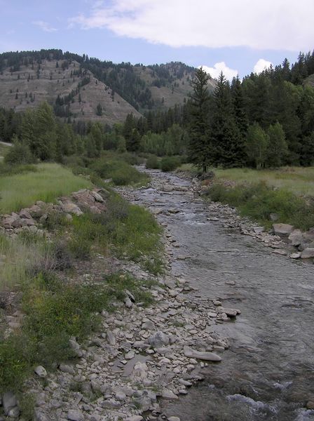 Little Greys River. Photo by Pinedale Online.