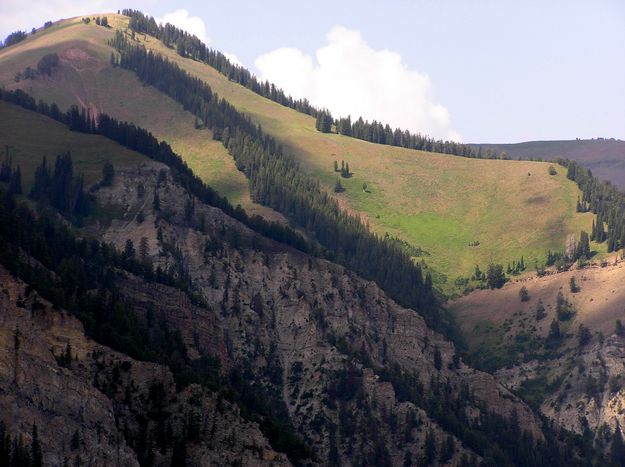 High Valleys Still Green. Photo by Pinedale Online.