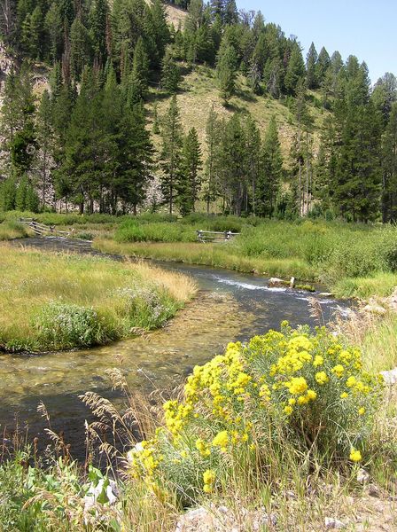 Sheep Creek. Photo by Pinedale Online.
