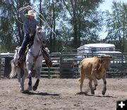 Roping Cowboy. Photo by Pinedale Online.