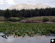 Temple Peak. Photo by Pinedale Online.