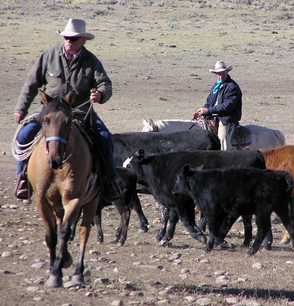 Richard Hulen and Zac Roberts. Photo by Pinedale Online.