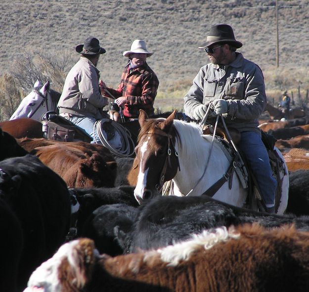 Frosty, Mike and Albert. Photo by Pinedale Online.