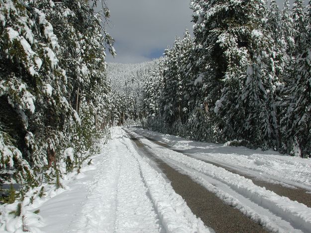 Skyline Drive. Photo by Pinedale Online.