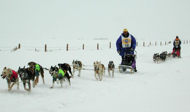 Sled Dog Race. Photo by Pinedale Online.