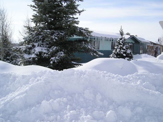 February Big Snow. Photo by Dawn Ballou, Pinedale Online.