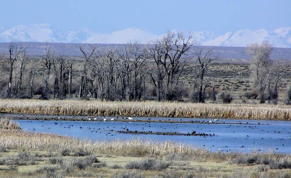 Seedskadee Wildlife Refuge. Photo by Pinedale Online.