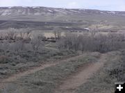 New Fork campsite. Photo by Pinedale Online.