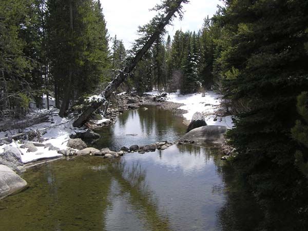 New Fork River. Photo by Pinedale Online.