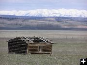 Old Cabin. Photo by Pinedale Online.