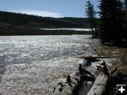 The Green is high with runoff. Photo by Pinedale Online.