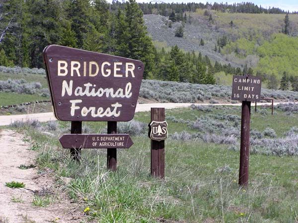 Forest Boundary sign. Photo by Pinedale Online.