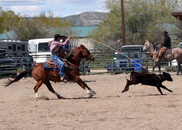 Calf Roper. Photo by Pinedale Online.