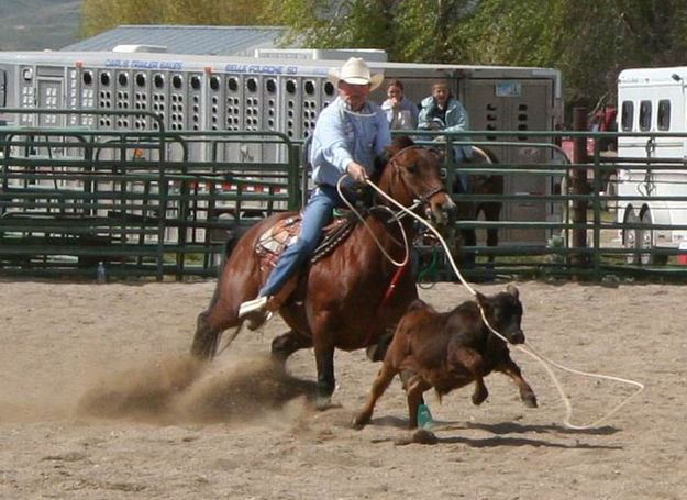 Calf Roper. Photo by Pinedale Online.