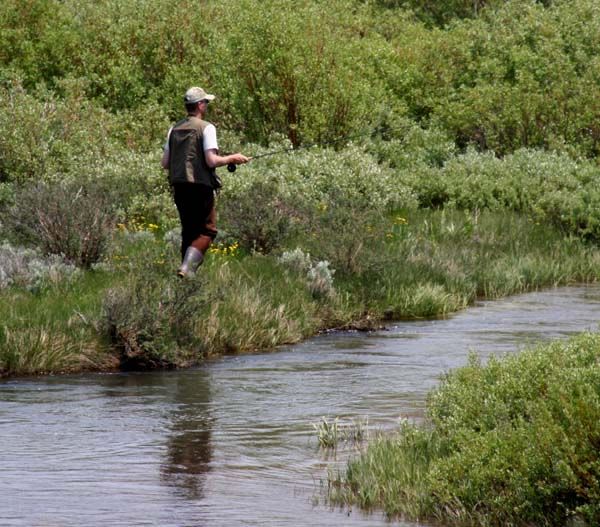 Fishing South Piney Creek. Photo by Pinedale Online.