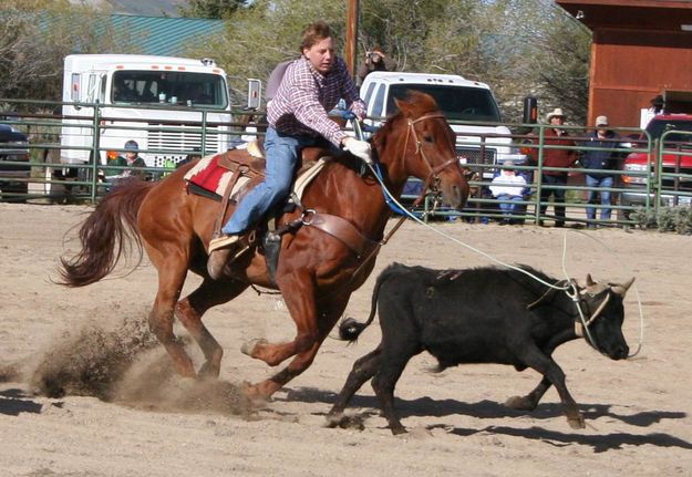 Team Roping. Photo by Pinedale Online.