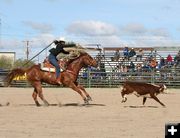 Break away roping. Photo by Pinedale Online.