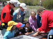 Fish Anatomy. Photo by Pinedale Online.