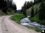 Greys River growing. Photo by Pinedale Online.