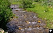 Spring Creek. Photo by Pinedale Online.