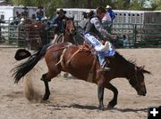 Saddle Bronc Rider. Photo by Pinedale Online.