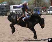 Saddle Bronc Ride. Photo by Pinedale Online.