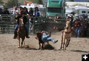 Steer Wrestling. Photo by Pinedale Online.