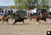 Team Roping. Photo by Pinedale Online.