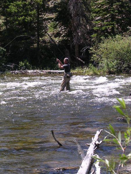 Fly Fishing. Photo by Tony Vitolo.