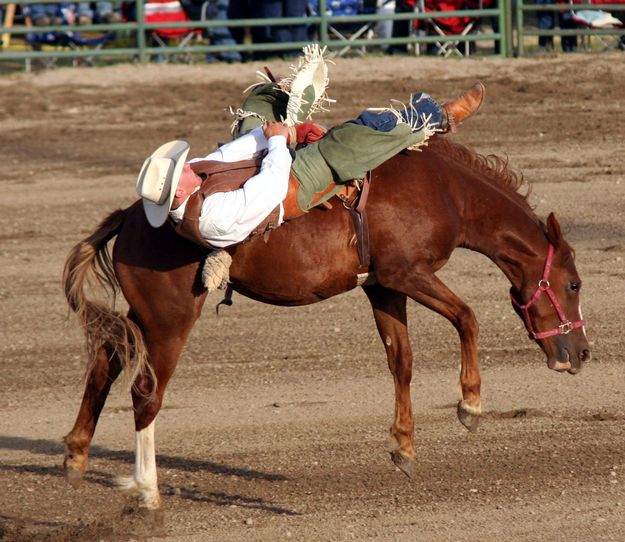 Sam Nelson Bareback Ride. Photo by Pinedale Online.