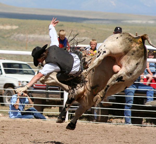 Both a-flying. Photo by Pinedale Online.